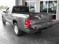 2010 Mineral Gray Metallic Dodge Dakota Big Horn Extended Cab  photo #9