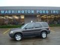 2007 Dark Stone Metallic Ford Escape XLT V6 4WD  photo #1