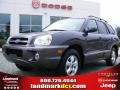 2005 Pewter Gray Hyundai Santa Fe GLS  photo #1