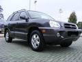 2005 Pewter Gray Hyundai Santa Fe GLS  photo #7