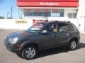 2008 Dark Titanium Gray Hyundai Tucson SE 4WD  photo #1