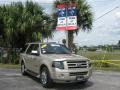 Pueblo Gold Metallic 2007 Ford Expedition Limited
