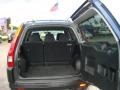 Eternal Blue Pearl - CR-V LX Photo No. 5