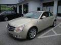Gold Mist - CTS Sedan Photo No. 1