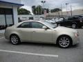 Gold Mist - CTS Sedan Photo No. 6