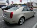 Gold Mist - CTS Sedan Photo No. 7