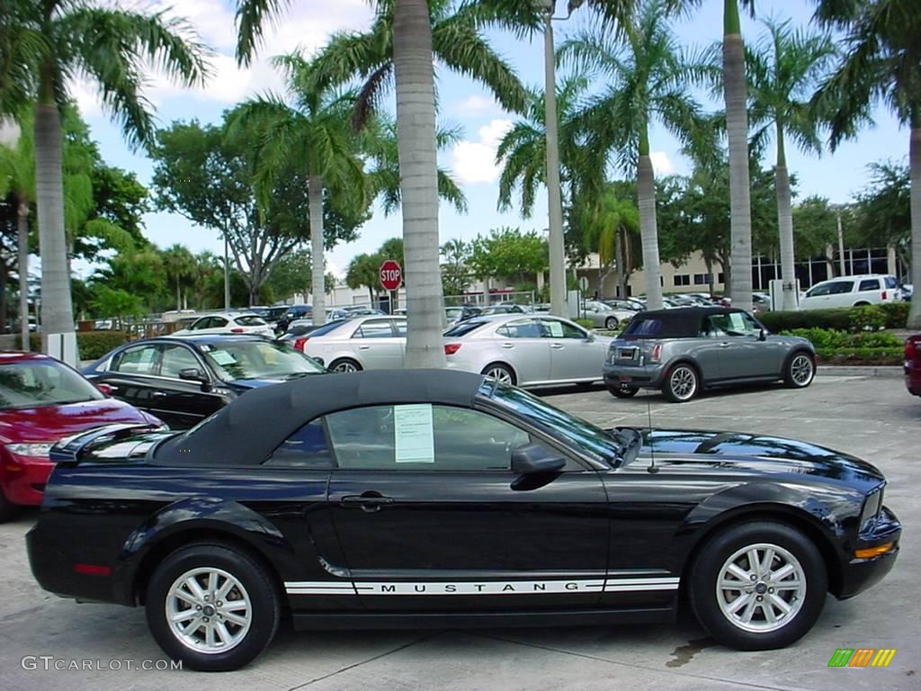 2006 Mustang V6 Premium Convertible - Black / Dark Charcoal photo #8