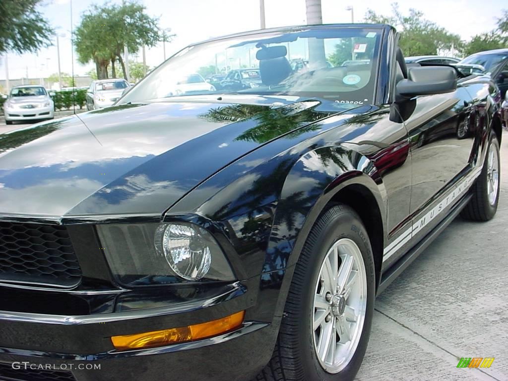 2006 Mustang V6 Premium Convertible - Black / Dark Charcoal photo #10