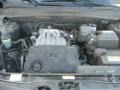 Ebony Black - Santa Fe GLS 4WD Photo No. 12