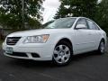 Powder White Pearl - Sonata GLS Photo No. 4