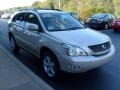 Savannah Beige Metallic - RX 350 AWD Photo No. 6