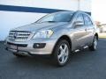 2006 Pewter Metallic Mercedes-Benz ML 350 4Matic  photo #1