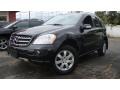 Black - ML 350 4Matic Photo No. 1