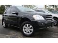 Black - ML 350 4Matic Photo No. 2