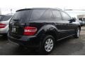 Black - ML 350 4Matic Photo No. 4