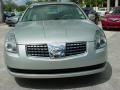 Liquid Silver Metallic - Maxima 3.5 SL Photo No. 8
