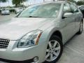 Liquid Silver Metallic - Maxima 3.5 SL Photo No. 10