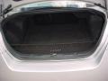Liquid Silver Metallic - Maxima 3.5 SL Photo No. 28