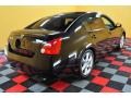 Onyx Black - Maxima 3.5 SE Photo No. 6