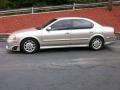 Sunlit Sand Metallic - Maxima GXE Photo No. 2