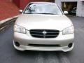 Sunlit Sand Metallic - Maxima GXE Photo No. 5