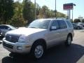 Silver Birch Metallic - Mountaineer Premier AWD Photo No. 1
