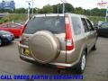 2006 Sahara Sand Metallic Honda CR-V SE 4WD  photo #7