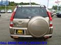 Sahara Sand Metallic - CR-V SE 4WD Photo No. 8