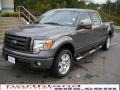 2010 Sterling Grey Metallic Ford F150 FX4 SuperCrew 4x4  photo #2