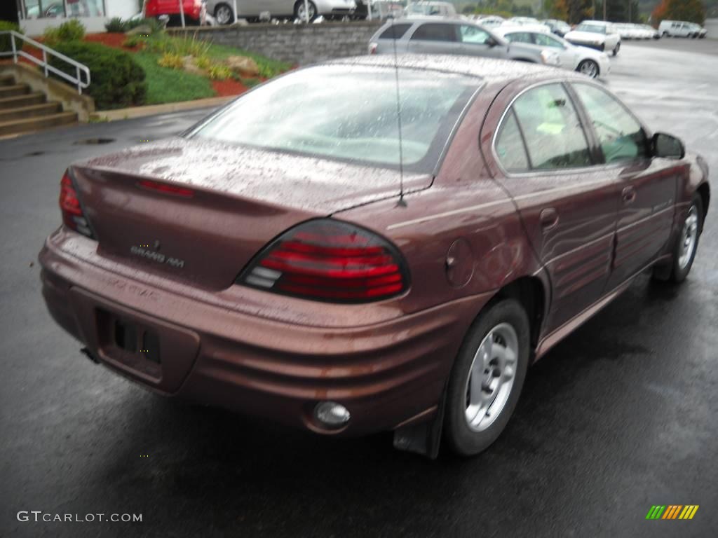 2000 Grand Am SE Sedan - Auburn Mist Metallic / Dark Taupe photo #2