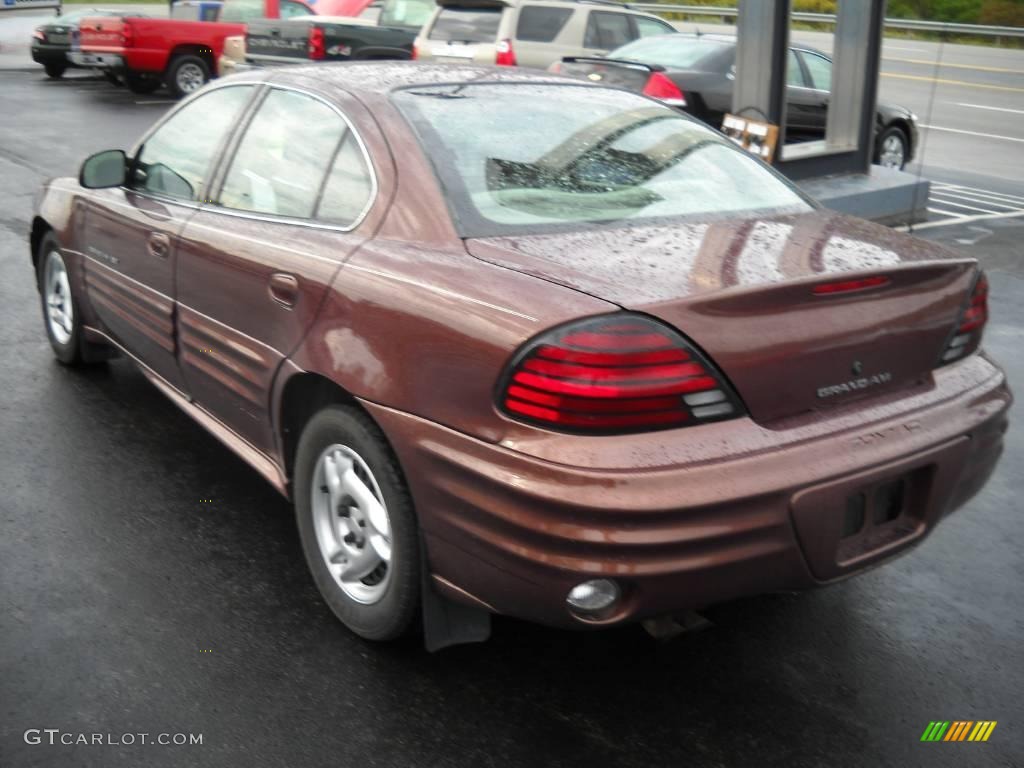 2000 Grand Am SE Sedan - Auburn Mist Metallic / Dark Taupe photo #4