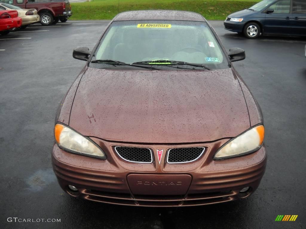 2000 Grand Am SE Sedan - Auburn Mist Metallic / Dark Taupe photo #15