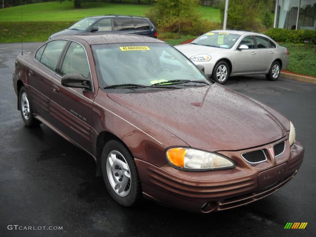 2000 Grand Am SE Sedan - Auburn Mist Metallic / Dark Taupe photo #16