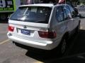 Alpine White - X5 3.0i Photo No. 6