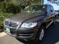 Galapagos Metallic - Touareg 2 VR6 Photo No. 1