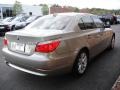 Platinum Bronze Metallic - 5 Series 535xi Sedan Photo No. 6