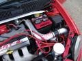 2004 Flame Red Dodge Neon SRT-4  photo #42