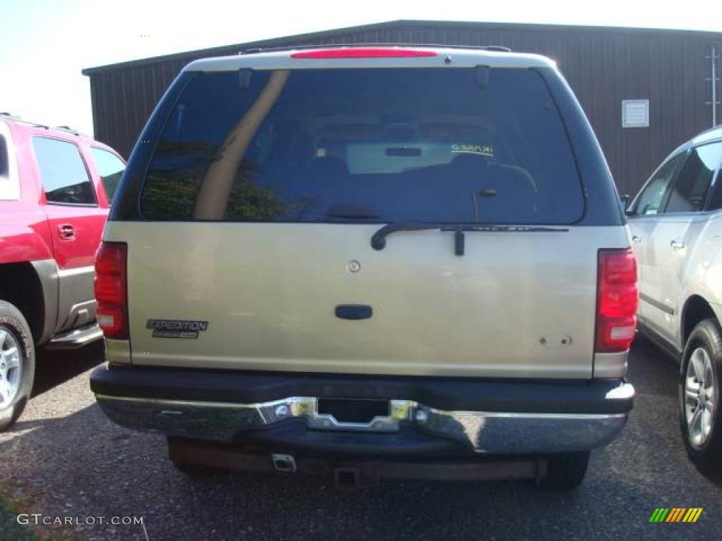 1999 Expedition XLT 4x4 - Harvest Gold Metallic / Medium Prairie Tan photo #3