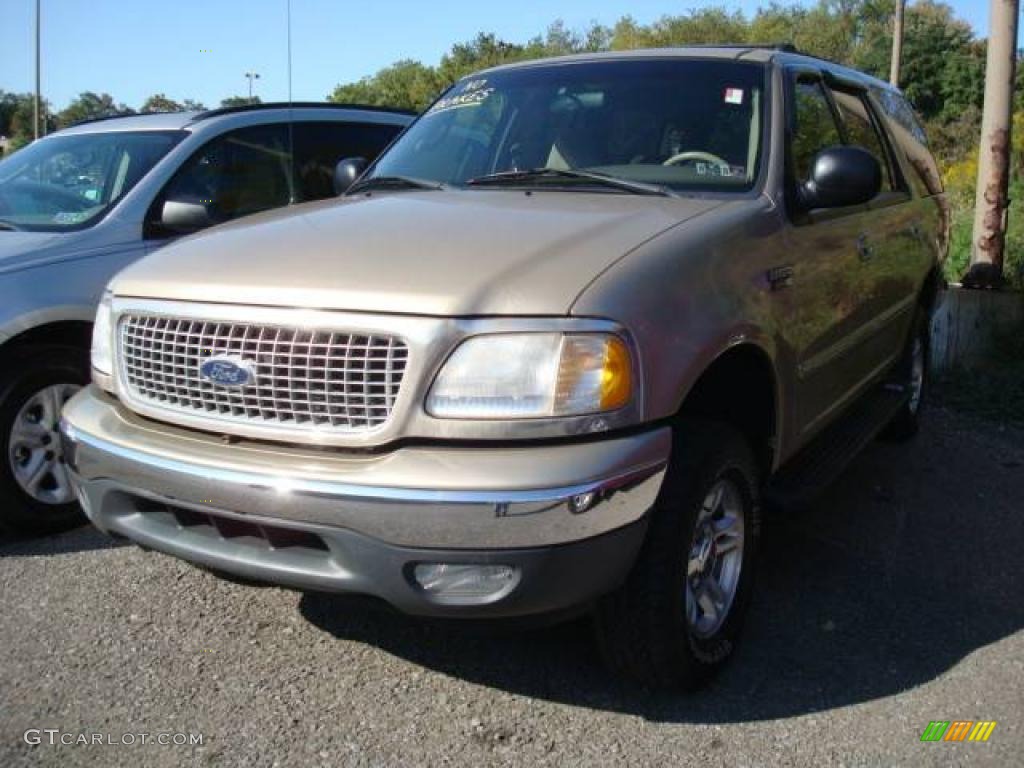 1999 Expedition XLT 4x4 - Harvest Gold Metallic / Medium Prairie Tan photo #4