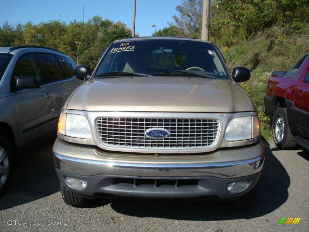 1999 Expedition XLT 4x4 - Harvest Gold Metallic / Medium Prairie Tan photo #5