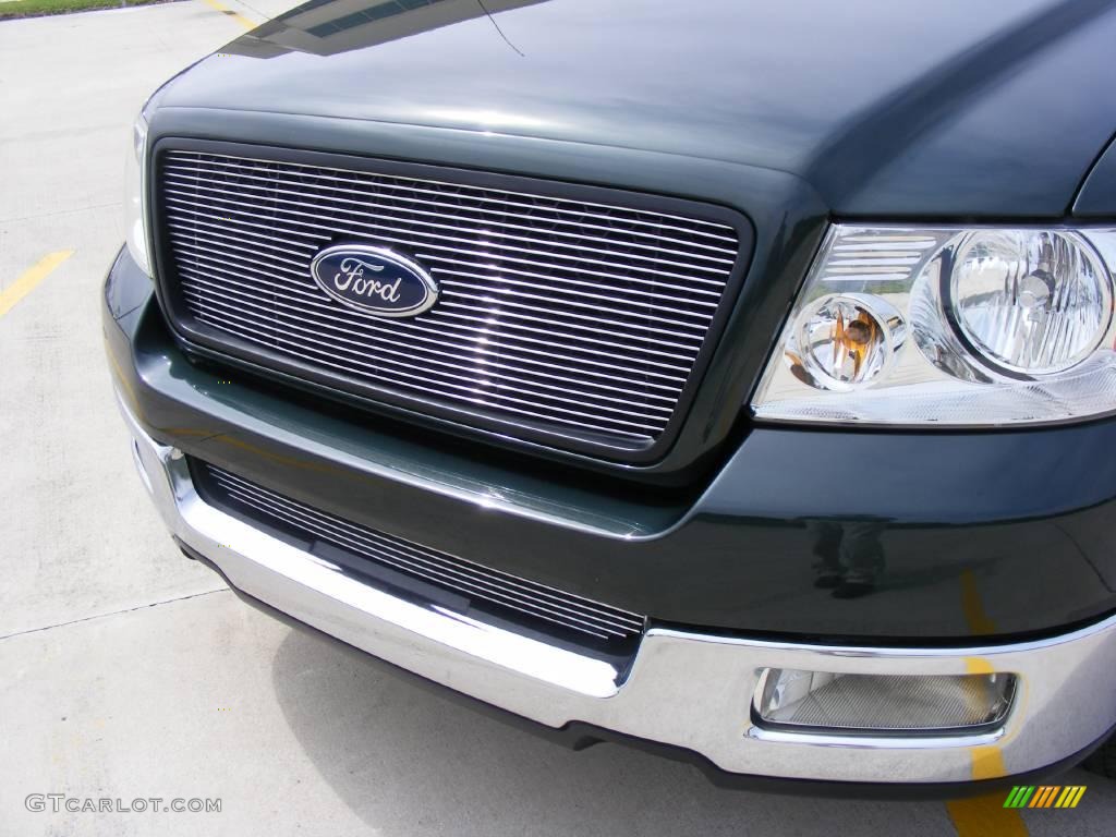 2005 F150 XLT SuperCab - Aspen Green Metallic / Medium Flint Grey photo #12
