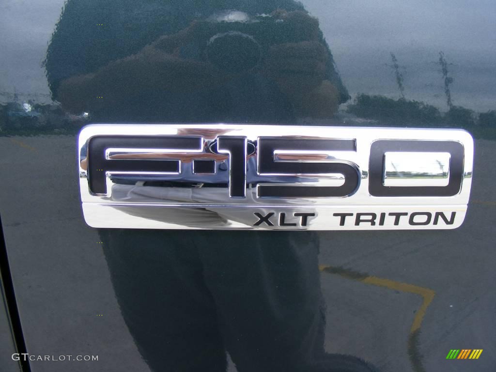 2005 F150 XLT SuperCab - Aspen Green Metallic / Medium Flint Grey photo #17