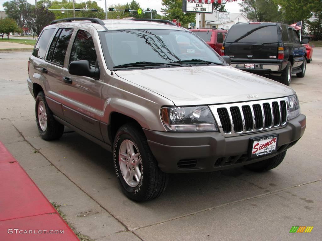 2003 Grand Cherokee Laredo 4x4 - Light Pewter Metallic / Dark Slate Gray photo #5