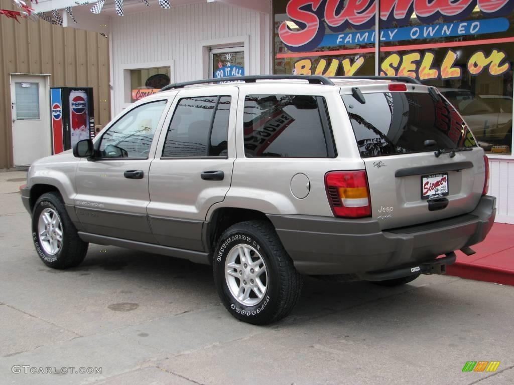 2003 Grand Cherokee Laredo 4x4 - Light Pewter Metallic / Dark Slate Gray photo #9