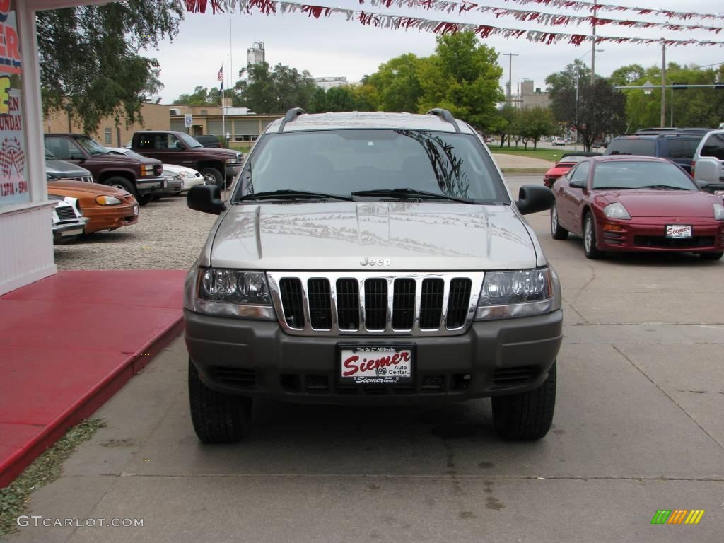2003 Grand Cherokee Laredo 4x4 - Light Pewter Metallic / Dark Slate Gray photo #11
