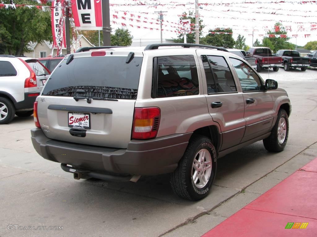 2003 Grand Cherokee Laredo 4x4 - Light Pewter Metallic / Dark Slate Gray photo #14