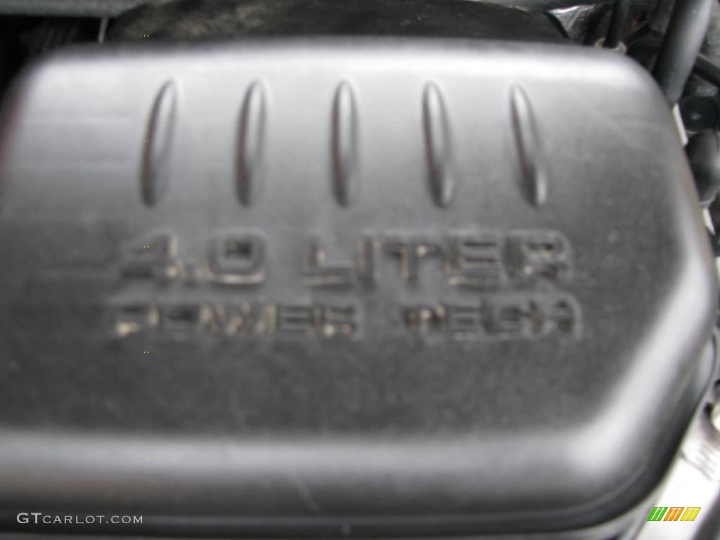 2003 Grand Cherokee Laredo 4x4 - Light Pewter Metallic / Dark Slate Gray photo #21