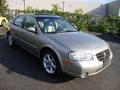 Sterling Mist Metallic - Maxima SE Photo No. 4