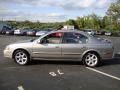 Sterling Mist Metallic - Maxima SE Photo No. 10