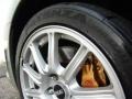 Crystal Gray Metallic - Impreza WRX STi Photo No. 18